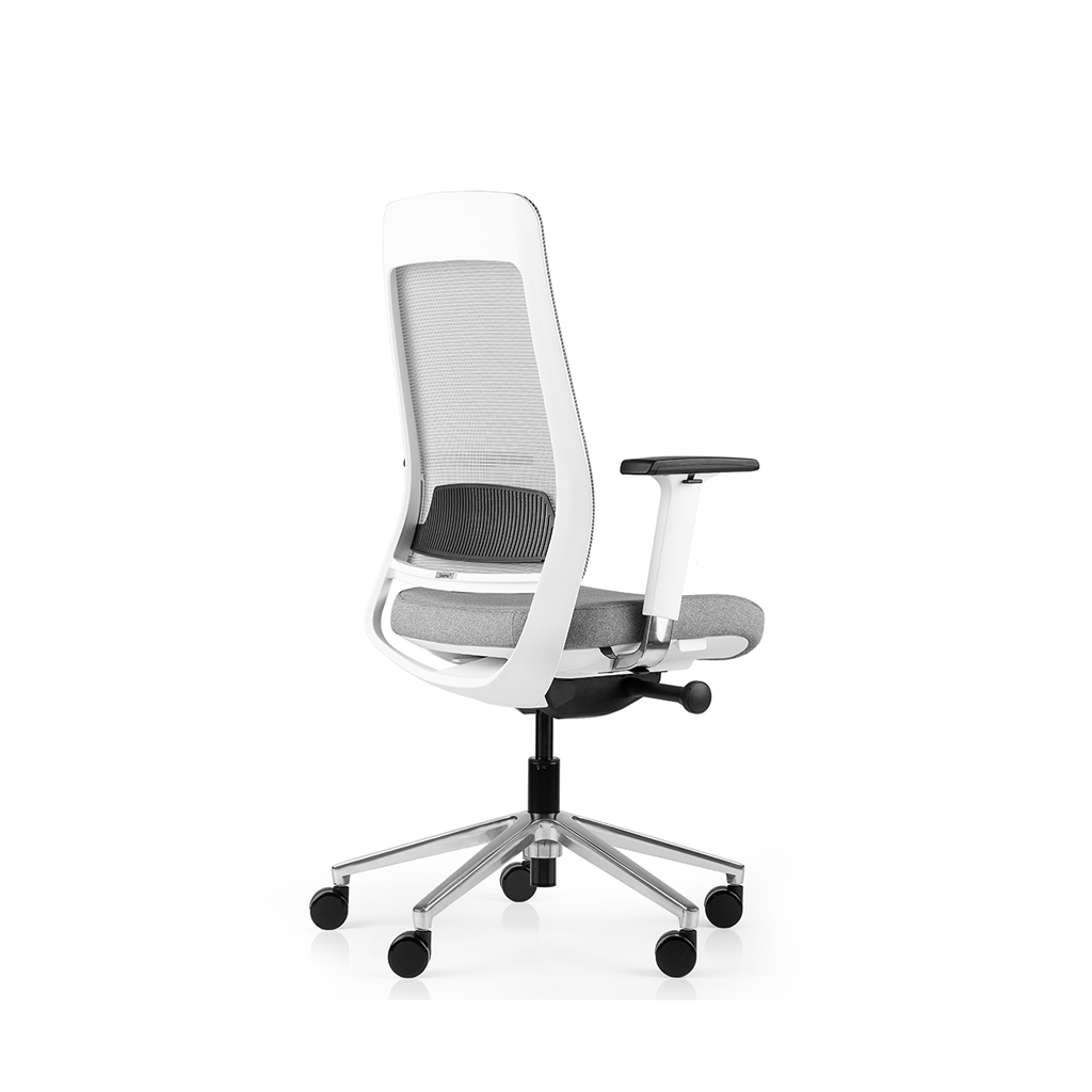 Inwerk Teamo® Original - Ergonomischer Bürostuhl, Weiss/Grau